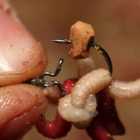 Korda Maggot Klip